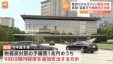 電気・ガス・ガソリン代への補助金 予備費から9800億円程度を支出へ 政府|TBS NEWS DIG