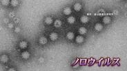 ノロウイルス食中毒警報【富山県】アルコール消毒は効果なし！【警戒】本日（24日）から2週間（3月9日まで）厳重警戒　|　富山のニュース｜天気・防災｜チューリップテレビ
