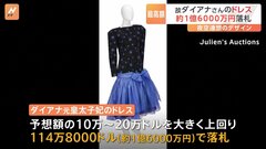 ダイアナ元皇太子妃のドレスが約1億6000万円で落札　夜空を連想させるデザイン| TBS CROSS DIG with Bloomberg