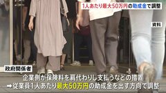 「年収の壁」解消へ企業に1人あたり最大50万円の助成金で調整　年内にも実施| TBS CROSS DIG with Bloomberg