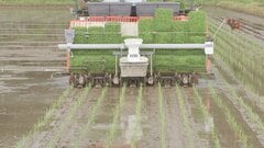 主食用のコメ　今年は前年と同水準で農水省の適正生産量より増加　さらに需給が緩む可能性| TBS CROSS DIG with Bloomberg