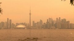 カナダ山火事　NYでも大気汚染注意報| TBS CROSS DIG with Bloomberg