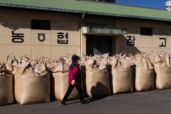 日本が韓国からコメ輸入、1999年以降初めて－価格高騰で異例の機会| TBS CROSS DIG with Bloomberg