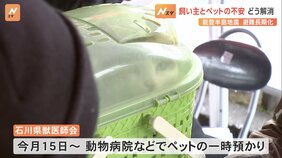 ペットを連れて避難所「なかなか難しい」 被災地で支援始まる 獣医師会が“一時預かり”や“無料診療” 能登半島地震|TBS NEWS DIG