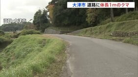 滋賀・大津市でもクマ目撃　1キロ圏内には小中学校も　警察が通学時間帯のパトロール強化へ|TBS NEWS DIG