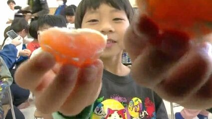 あま～いミカン食べて元気に！園児たちにオリジナルブランド「草枕」を