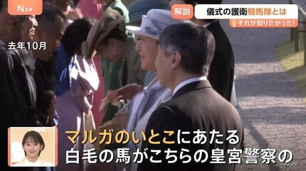 天皇陛下も出席の視閲式 命をかける護衛の最前線、皇宮警察“知られざる
