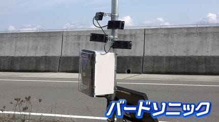 音で鳥を追い払う装置」が関西国際空港などで試験運用開始 航空機と鳥