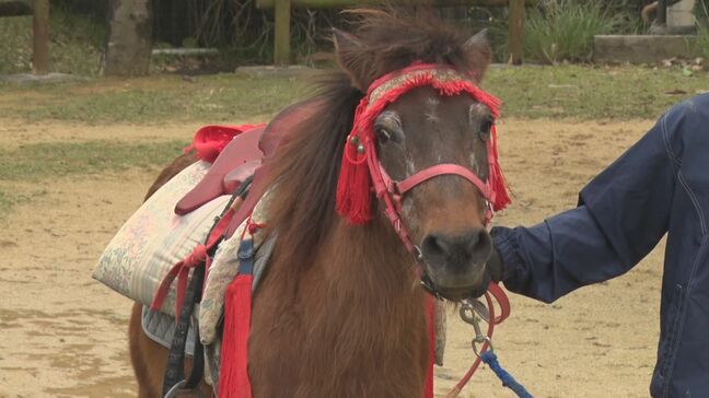 新春恒例「干支の引継ぎ式」　巳から午へたすき渡し|TBS NEWS DIG