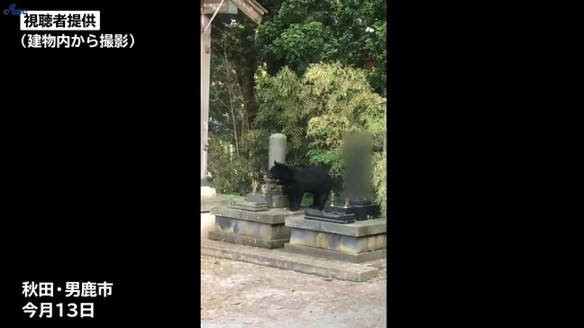クマが木を登り屋根瓦を破壊 ハチミツも… 秋田・男鹿市|TBS NEWS DIG