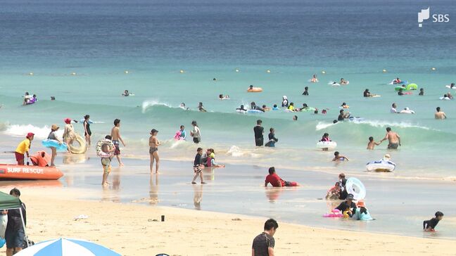 白浜大浜海水浴場の客数　昨年比8割増＝静岡・下田市|TBS NEWS DIG