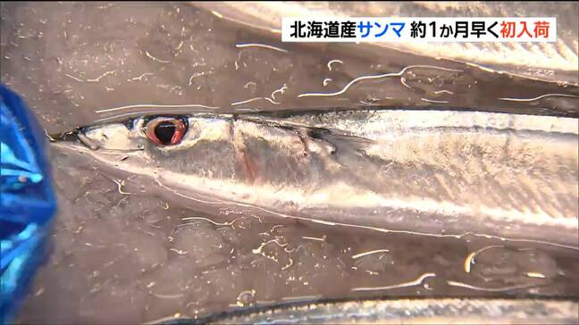 大型サンマ初入荷！最高値“1匹2万円”「7月にこれだけ大きいサンマ入るの12年ぶり」　仙台|TBS NEWS DIG