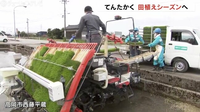 「てんたかく」田植え始まる　作業員4人で3ha分の水田に苗植える　8月中旬に稲刈り　富山・高岡市|TBS NEWS DIG