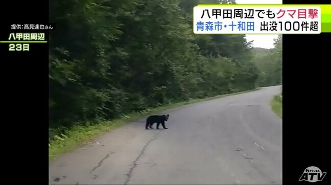 【クマ】道路に現れた1頭の「ツキノワグマ」撮影者が乗った車を見ると… 青森市・十和田市の山間部を中心に目撃情報100件超 八甲田周辺でも連日|TBS NEWS DIG
