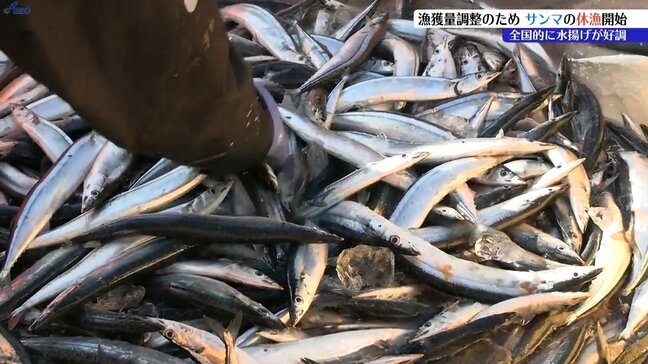 全国的に水揚げ好調のサンマ　24～48時間の休漁開始　9月いっぱい続く見込み|TBS NEWS DIG
