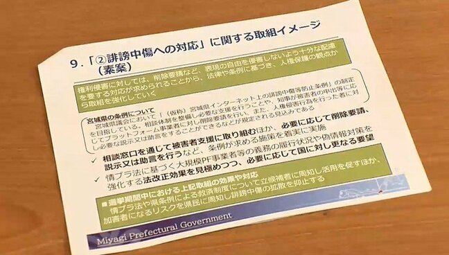 選挙中のSNSデマや誹謗中傷対策で素案 宮城県が削除要請や見解発信へ公平性には課題も|TBS NEWS DIG