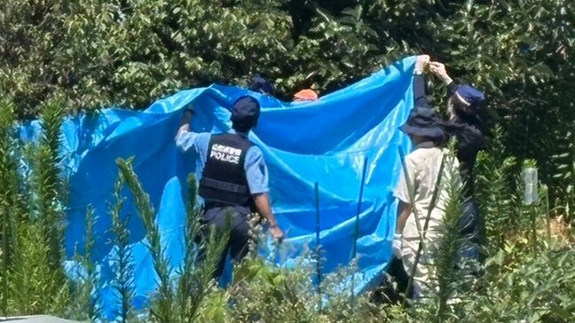 山形市に出没のクマを駆除、搬出　ブルーシートで囲み運び出す　県道の通行止めは解除|TBS NEWS DIG