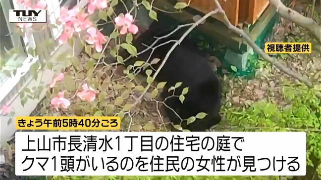 【動画】「まさかウチに」住宅の庭にクマが居座る 麻酔で眠ったところを捕獲(山形・上山市)|TBS NEWS DIG