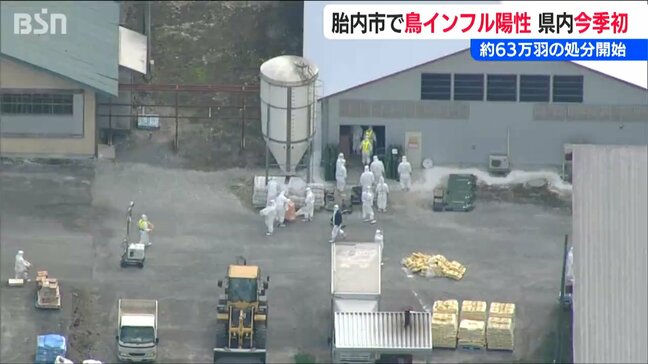 今シーズン県内初の『高病原性鳥インフルエンザ』処分の63万羽は県内飼育数の1割相当　新潟県胎内市|TBS NEWS DIG