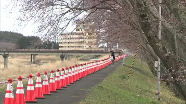 「みんなと会える」震災後初 15年ぶり請戸川リバーラインさくら祭り 福島・浪江町|TBS NEWS DIG