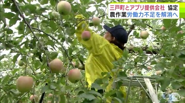 青森県三戸町が「タイミー」提供の会社と初の協定 『短時間のアルバイト』で農作業の労働力不足を解消へ 県内外から応募あり2日余で定員に達するなどの成果も|TBS NEWS DIG