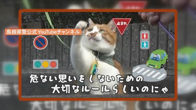 警察犬ならぬ警察ネコの「ぴー太郎」島根県警のユーチューブ動画が人気　|　BSSニュース | BSS山陰放送