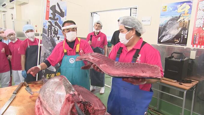 いつから安く？初夏の味覚・クロマグロ「〇〇〇が過ぎたら値段的にもちょっと落ち着くのでは…」高校では仰天の”１本解体授業”　鳥取・境港市　|　BSSニュース | BSS山陰放送