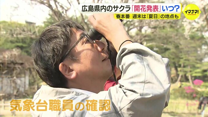 連日の暖かさでサクラの開花発表は？平年日はあす…|TBS NEWS DIG