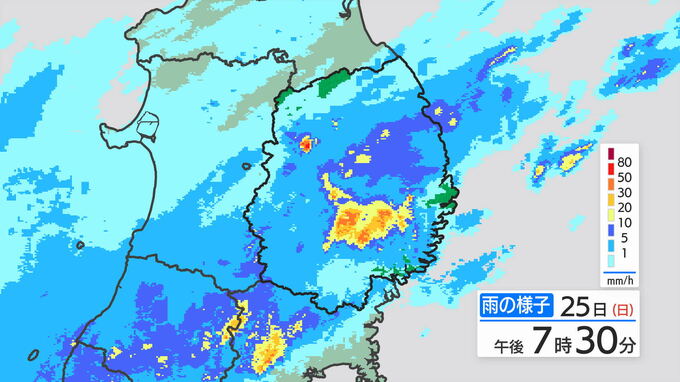 大雨と雷及び突風に関する岩手県気象情報|TBS NEWS DIG