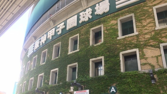 八戸学院光星が5年ぶり11度目の選抜甲子園出場へ　センバツ高校野球大会|TBS NEWS DIG