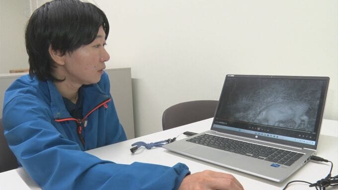 イノシシ、クマ…鳥獣対策最前線！島根県で活躍する鳥獣専門職員　|　BSSニュース | BSS山陰放送