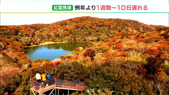 静岡県内の“紅葉スポット”見ごろはいつ？気象予報士が解説|TBS NEWS DIG