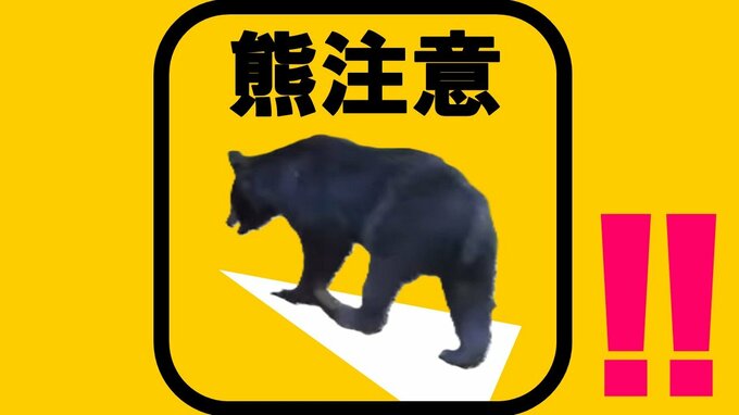 「クマ目撃」京都で相次ぐ…右京区の路上では親子らしき３頭　『発見したら大声出さずゆっくり後退しながら避難』警察など注意呼びかけ|TBS NEWS DIG
