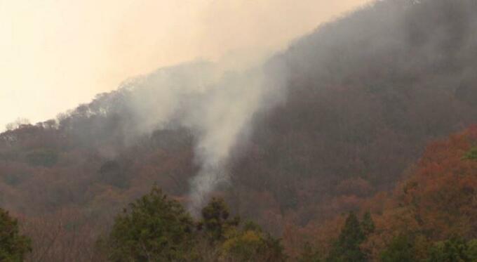 【速報】今治市大三島の山火事　消防 延焼を阻止したと発表  愛媛　|　愛媛のニュース - Nスタえひめ｜あいテレビは6チャンネル