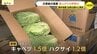 夏の猛暑・水不足で野菜高騰　熊本地震で「キャベツの出荷遅れ」懸念　広島のソウルフードにも影響か　果物は「シャインマスカット」が大衆ブドウに!?　|　RCC NEWS | 広島ニュース | RCC中国放送