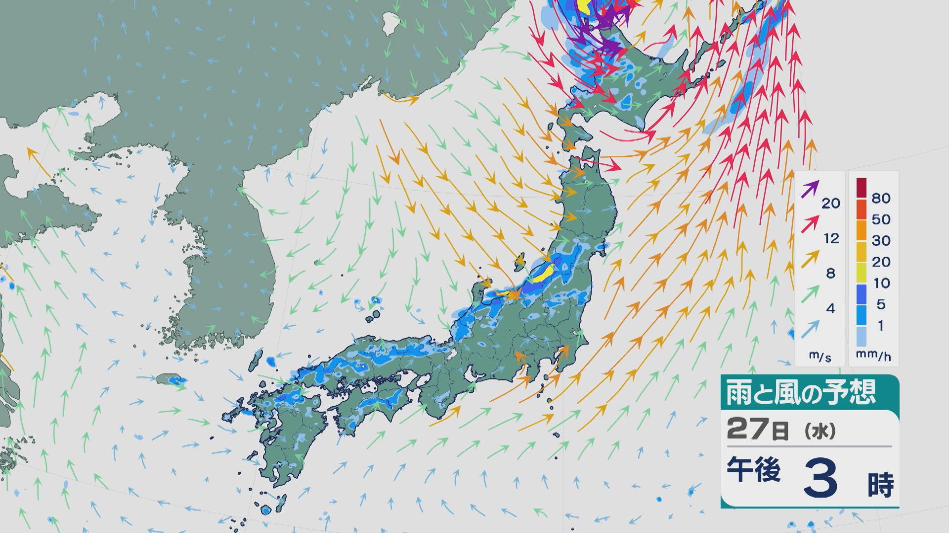 風と雲と雨 ウォーターフロント Waterfront Waterfront LIM 全天候 折 55cm