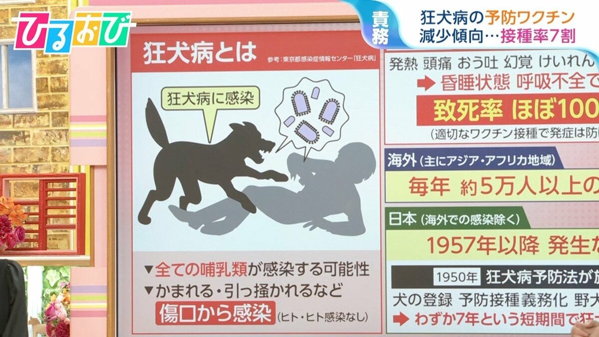 当時のメディア報道・掲載写真