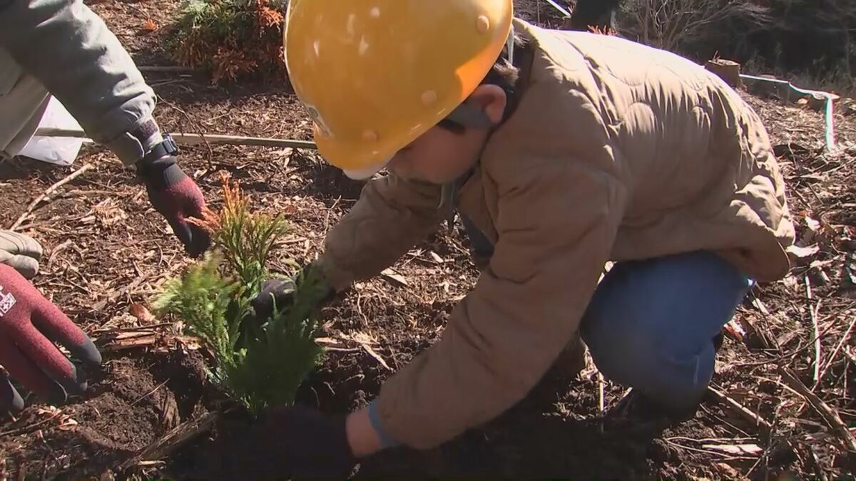 小学生が植樹と保護活動　森の役割と大切さを学ぶ　大分
