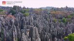 絶景を生む奇岩の群れ!石灰岩と世界遺産の深~い関係【世界遺産/中国南部カルスト(中国)】|TBS NEWS DIG