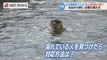 水の事故から命を守るには？「離岸流に巻き込まれたら」「おぼれた人を見つけたら」海上保安部に聞く正しい対応|TBS NEWS DIG
