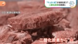 厄介者のCO2を資源！二酸化炭素から「肉」を作る【SDGs】|TBS NEWS DIG