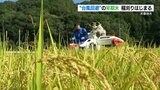早期米の稲刈り始まる!JAあまくさ管内では『台風の被害を避けるため』9割近くで早期米を栽培 熊本・天草 | 熊本のニュース|RKK NEWS|RKK熊本放送