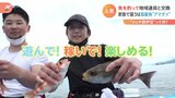 マダイ1匹でスイーツ?イサキ7匹で露天風呂?釣った魚が“地域通貨”に変わる 新しい遊び方“ツッテ西伊豆”|TBS NEWS DIG