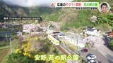 広島のサクラ「満開」 花の駅の春　安芸太田町 旧安野駅　|　RCC NEWS | 広島ニュース | RCC中国放送
