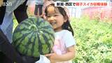 10kg超えも!「子どもがずっとスイカ スイカって…」新潟市西区でスイカの収穫体験 | 新潟のニュース・天気|BSN NEWS|BSN新潟放送