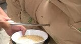 信州・安曇野で県内トップを切って「新米の検査」JAの検査員が袋詰めされたコメ抜き取り、品質や水分量などを確認…9月中旬が稲刈りピーク、例年並みの1万1400トンの集荷目指す　|　SBC NEWS | 長野のニュース | SBC信越放送