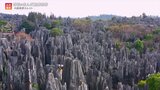 絶景を生む奇岩の群れ!石灰岩と世界遺産の深~い関係【世界遺産/中国南部カルスト(中国)】|TBS NEWS DIG