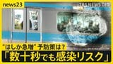 【はしか急増】今年の感染者数400人超え 去年の約4.5倍ペースで拡大 推奨される予防策とは?【news23】|TBS NEWS DIG