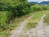 70歳くらいの女性の遺体 富山市の空き地で発見 紺のTシャツに黒ズボン、警察が身元特定進める | 富山のニュース|天気・防災|チューリップテレビ