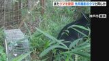 神戸市で再び「クマ」出没…先月11日に撮影された個体と同じ可能性大 | MBSニュース | 関西の最新ニュースを分かりやすく。
